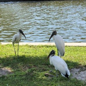 Meet your Posher, Robert